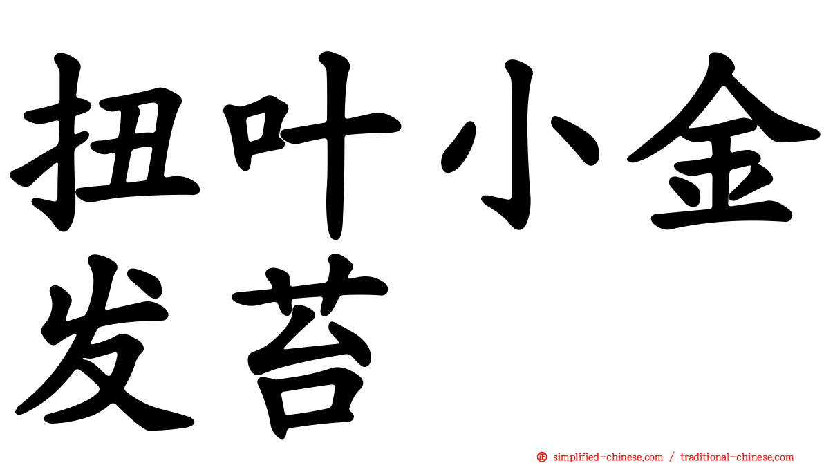扭叶小金发苔