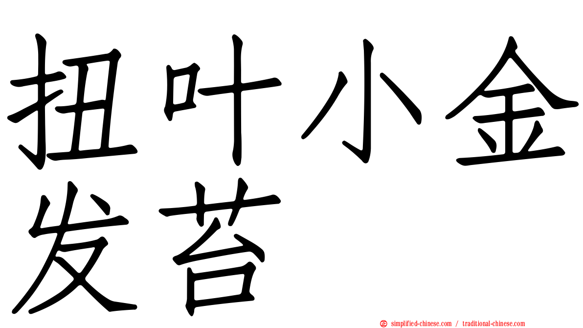 扭叶小金发苔