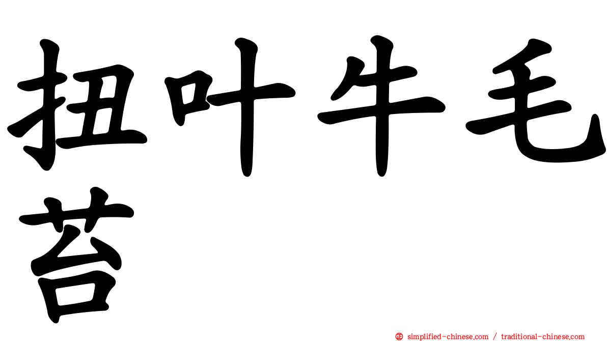 扭叶牛毛苔