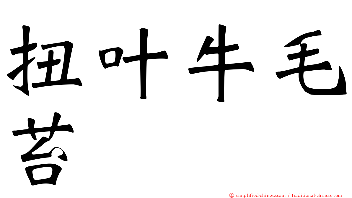 扭叶牛毛苔