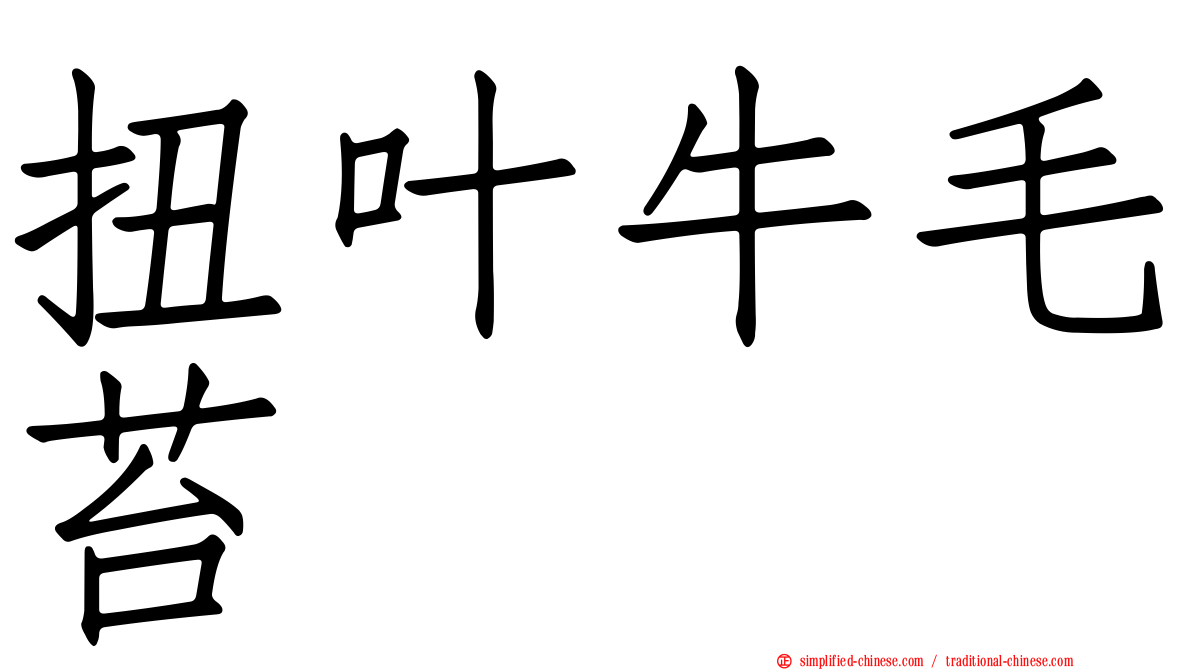 扭叶牛毛苔