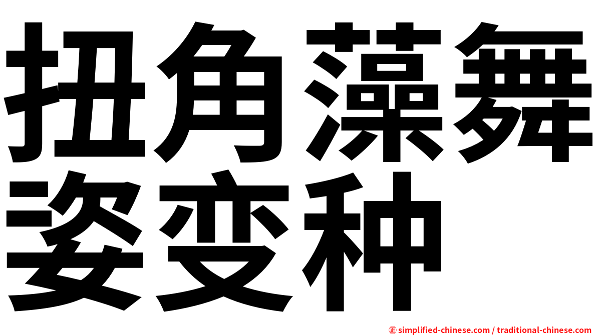 扭角藻舞姿变种