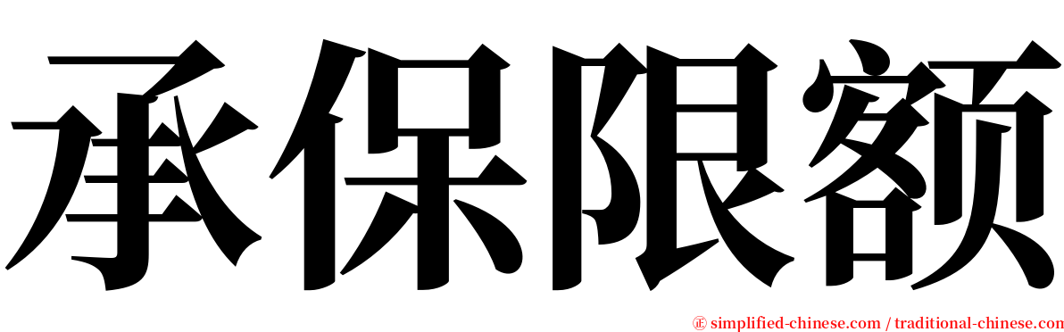 承保限额 serif font