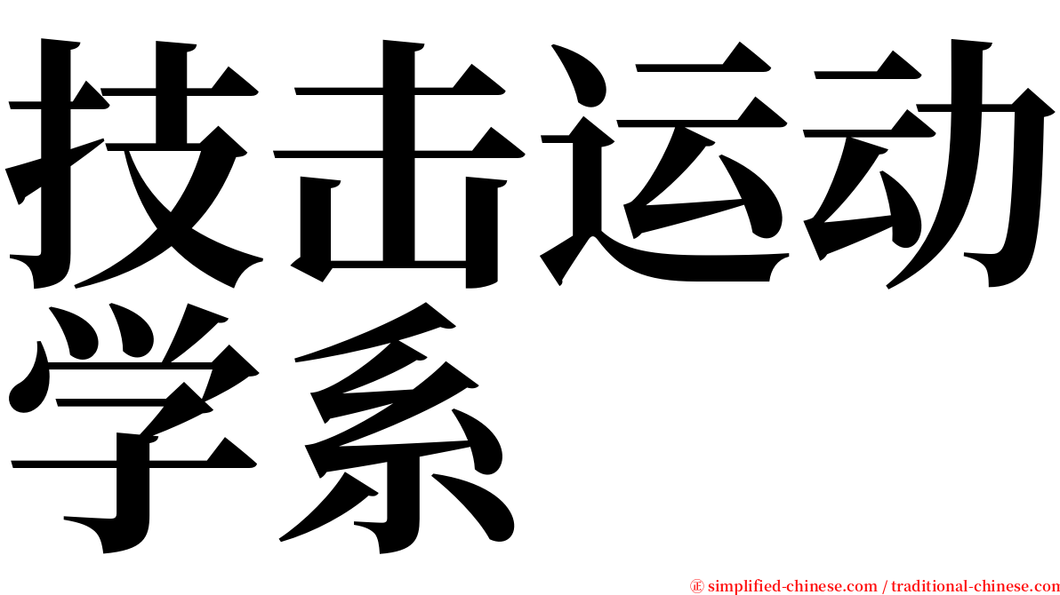 技击运动学系 serif font