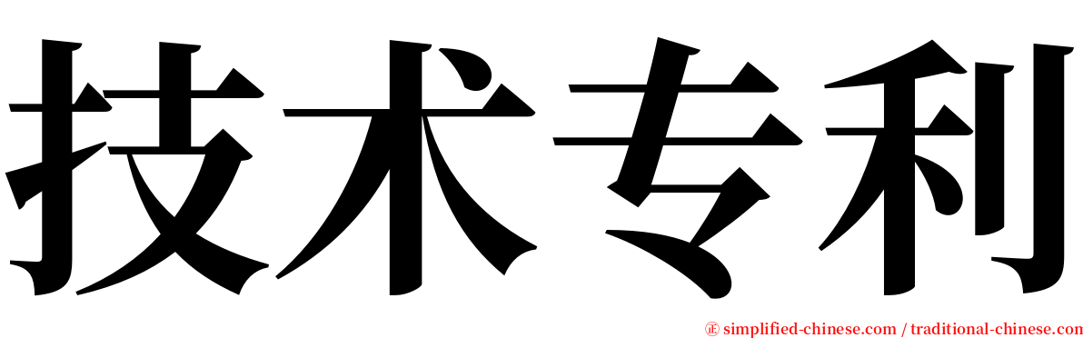技术专利 serif font