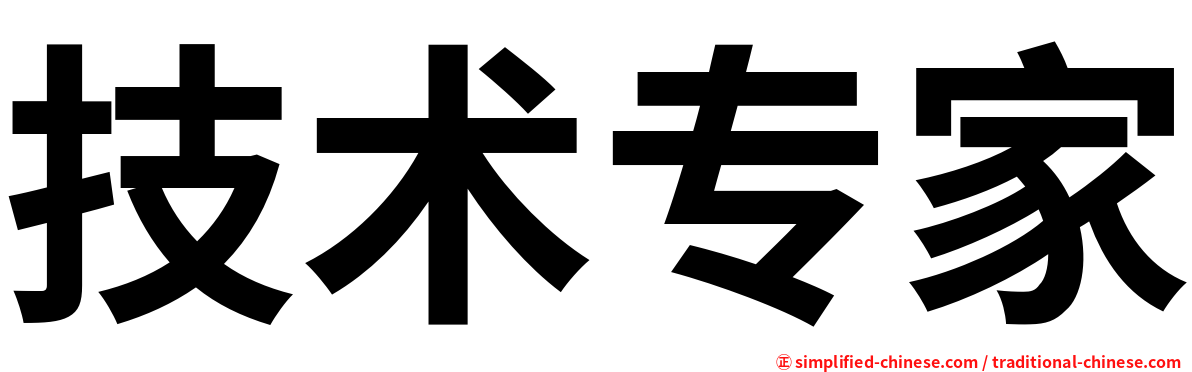 技术专家