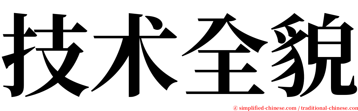 技术全貌 serif font