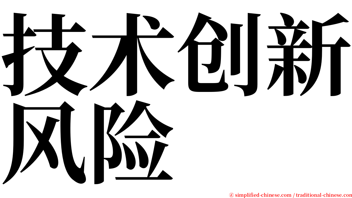 技术创新风险 serif font