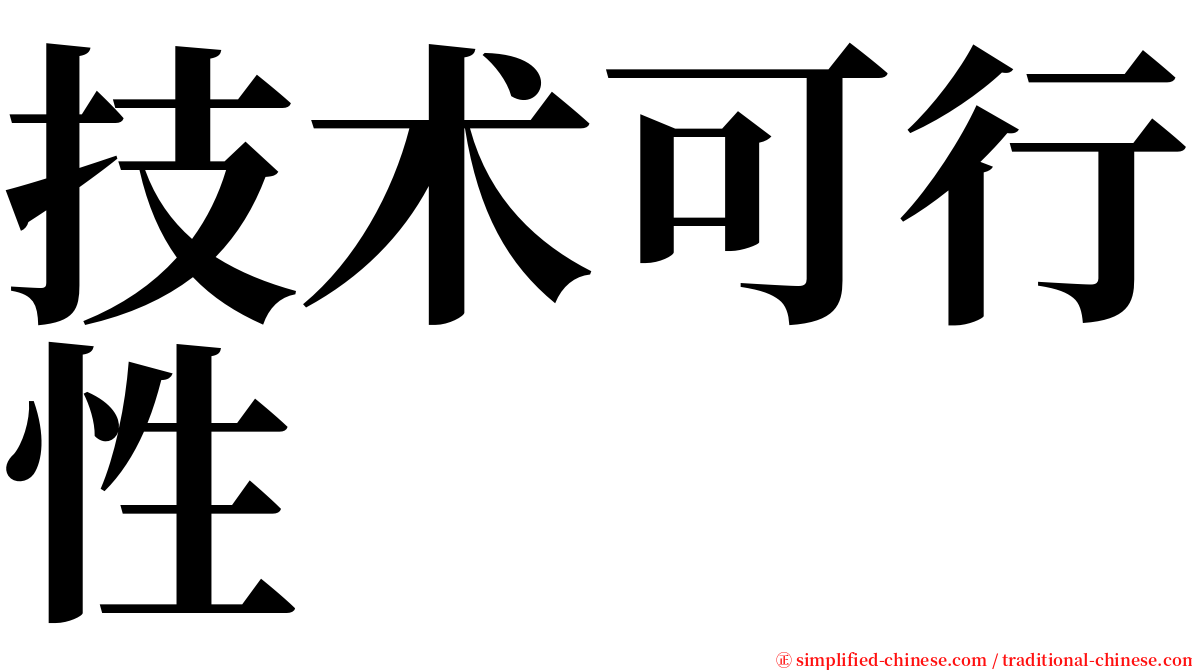 技术可行性 serif font