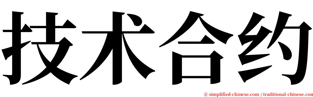 技术合约 serif font