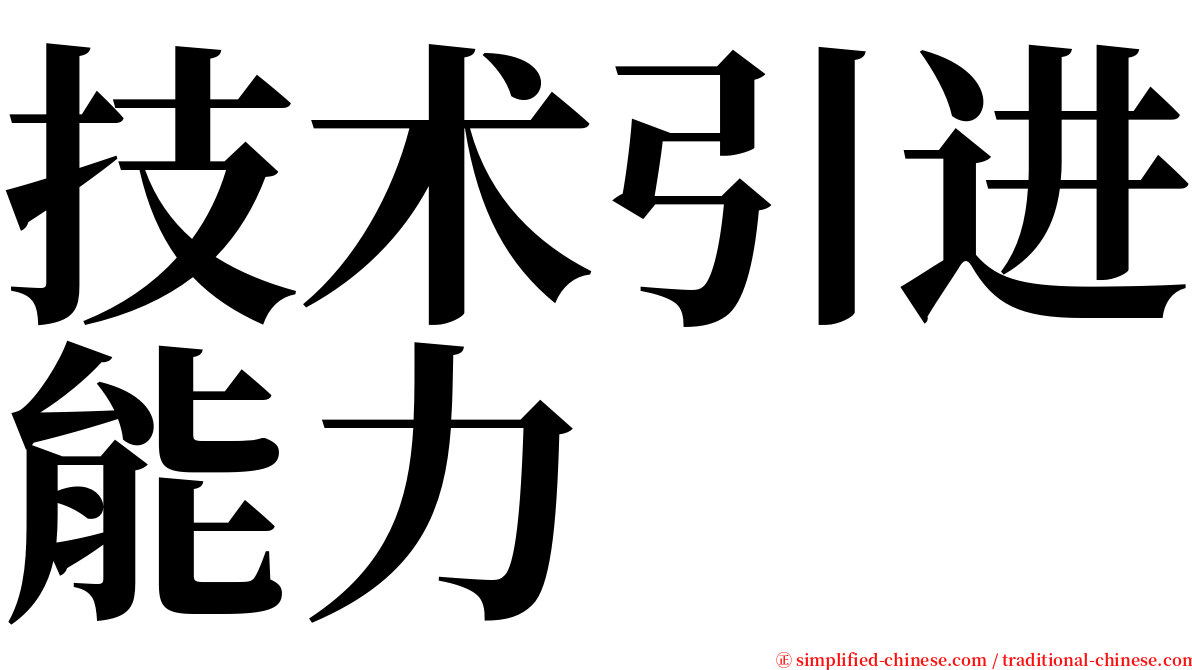 技术引进能力 serif font