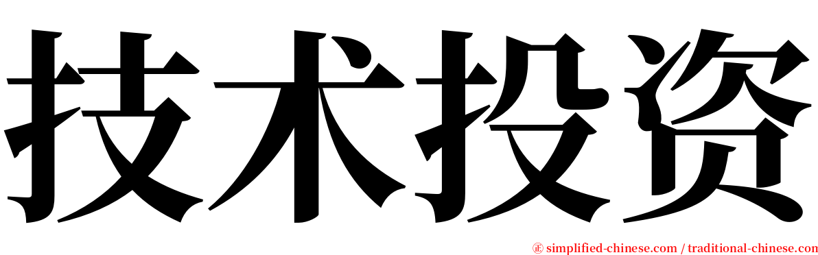 技术投资 serif font