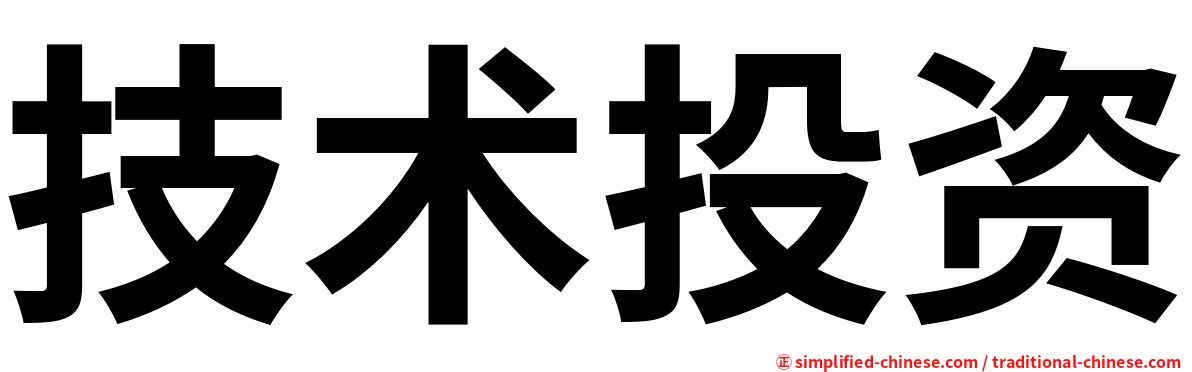 技术投资