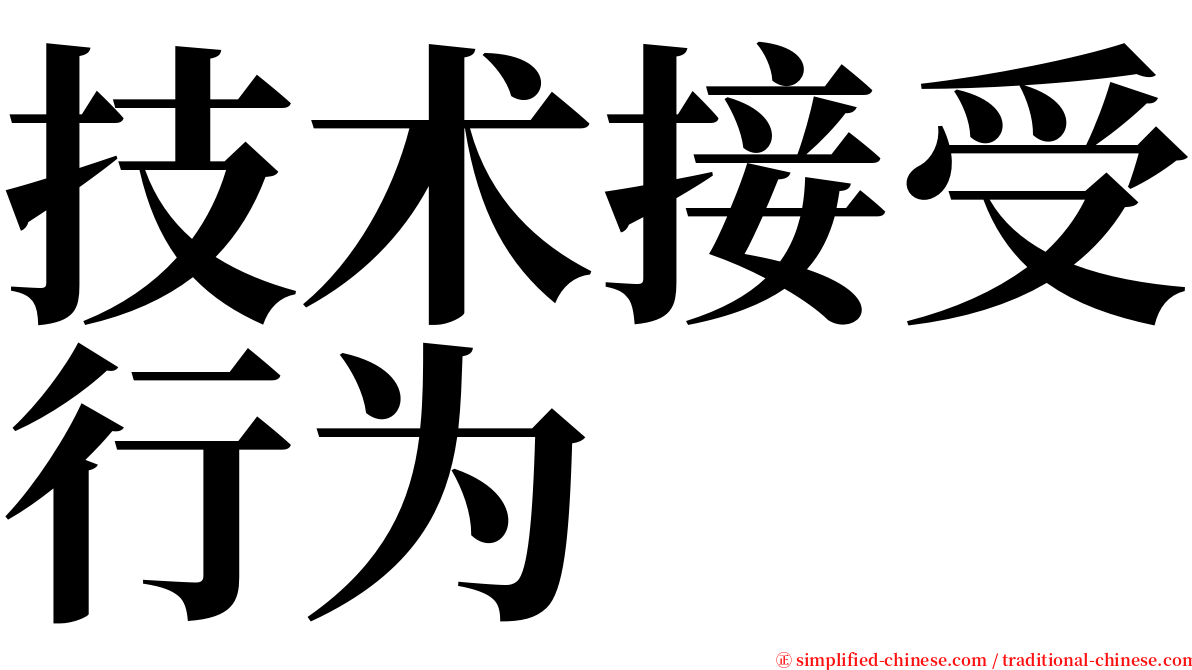 技术接受行为 serif font