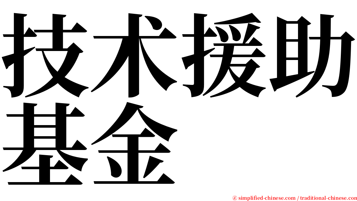 技术援助基金 serif font