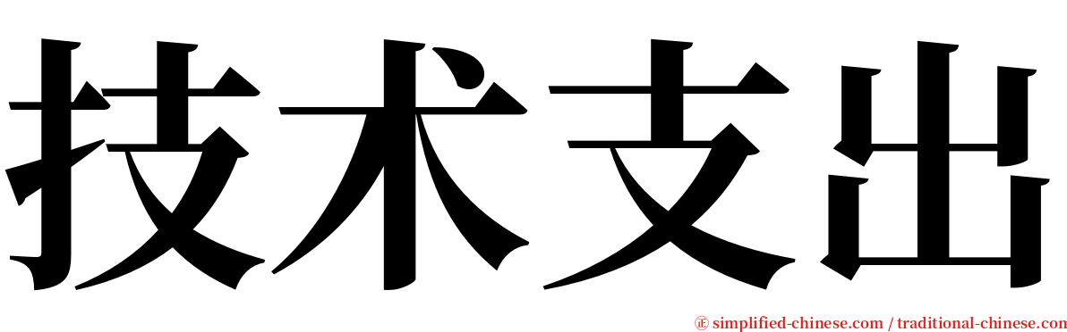 技术支出 serif font