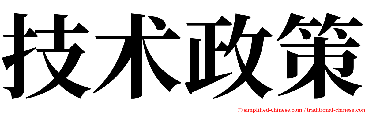 技术政策 serif font