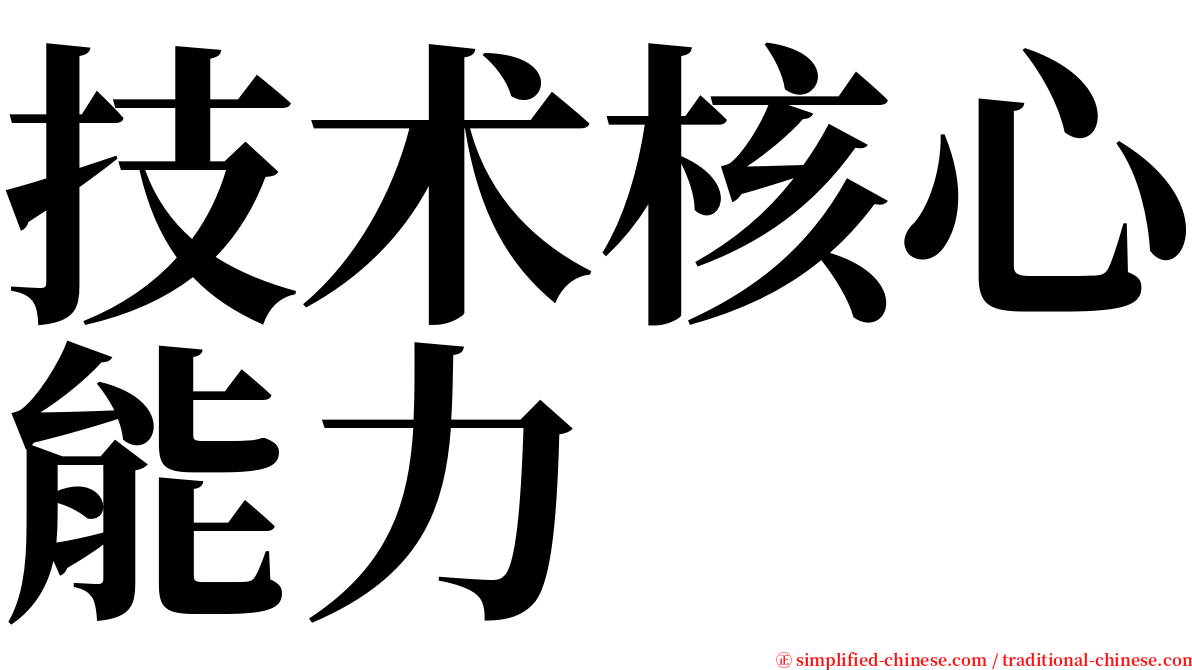 技术核心能力 serif font