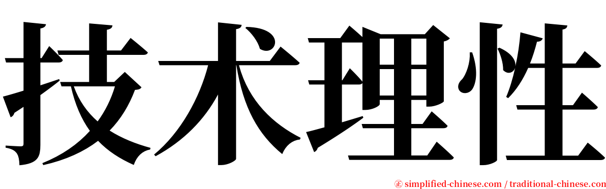 技术理性 serif font