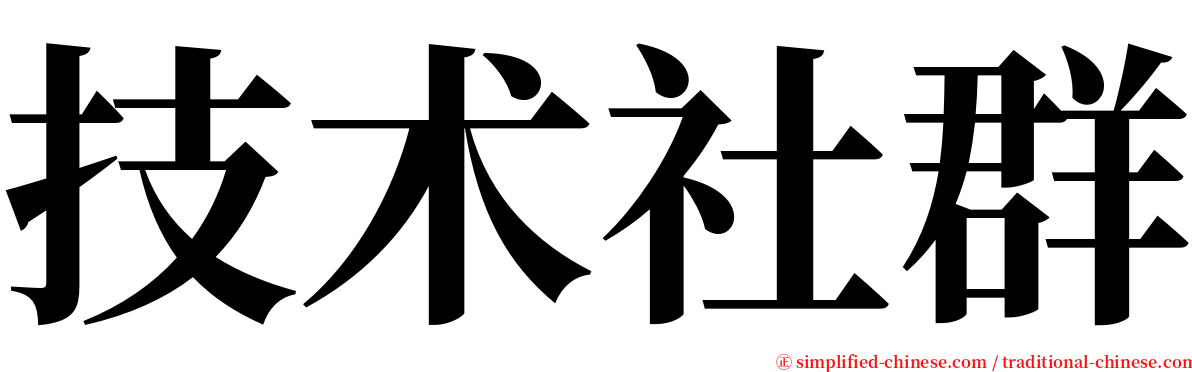 技术社群 serif font