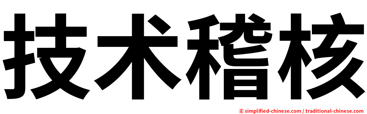 技术稽核