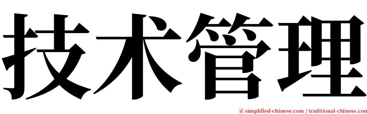 技术管理 serif font
