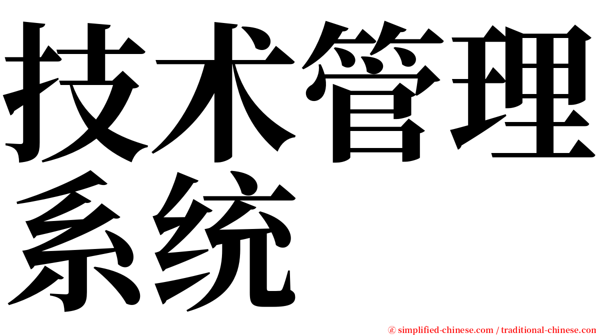 技术管理系统 serif font