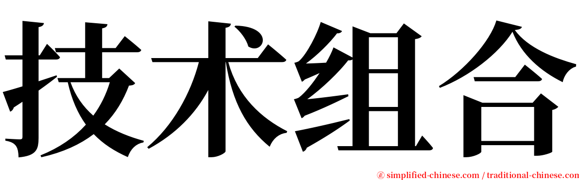 技术组合 serif font