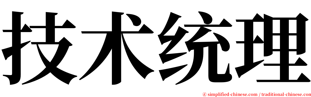 技术统理 serif font