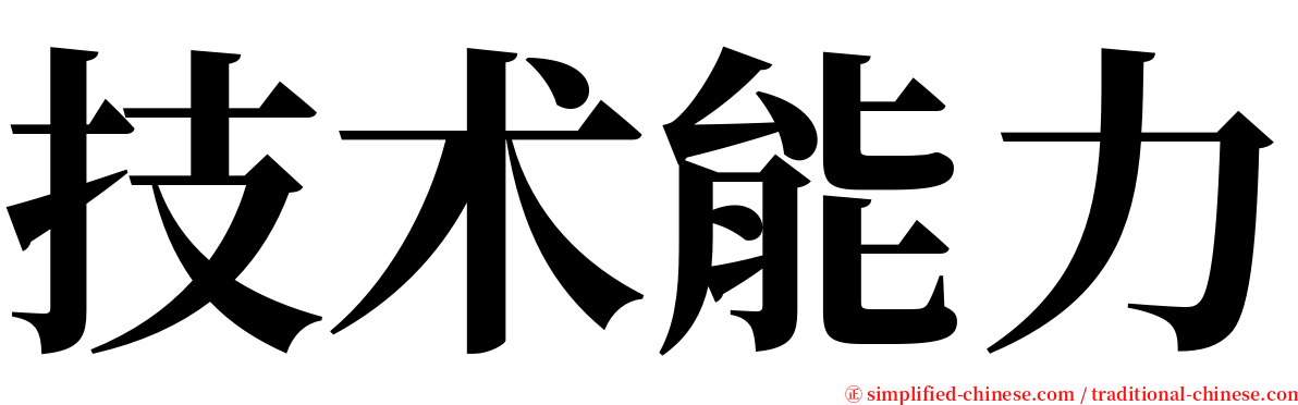 技术能力 serif font