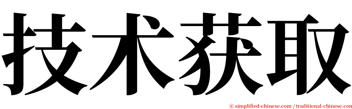 技术获取 serif font