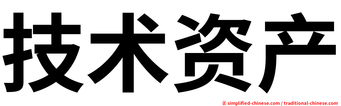 技术资产