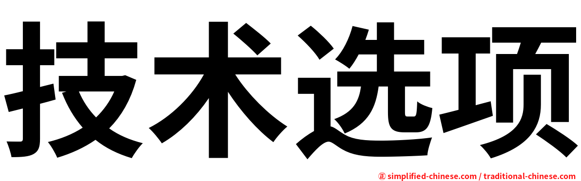 技术选项