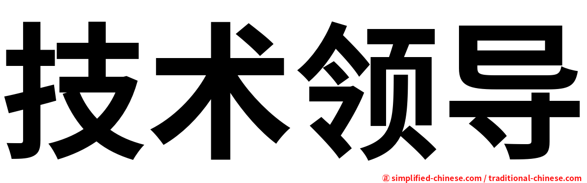 技术领导