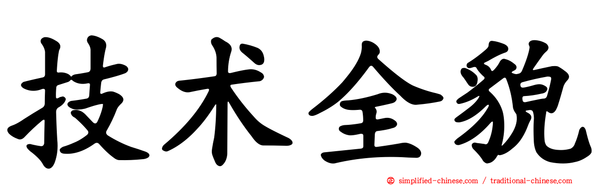 技术全貌