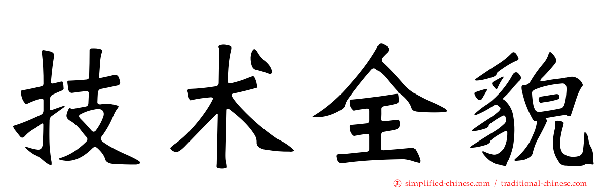 技术全貌