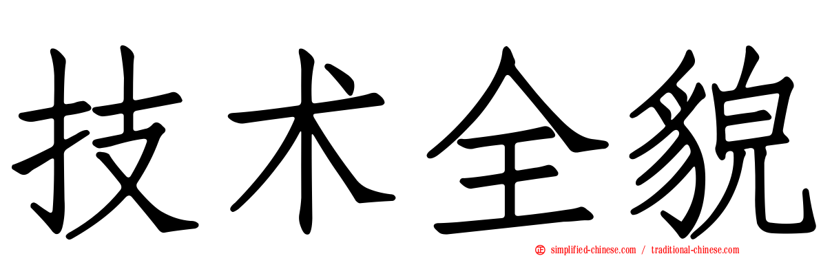技术全貌