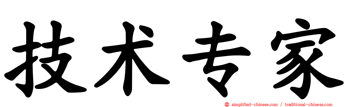 技术专家