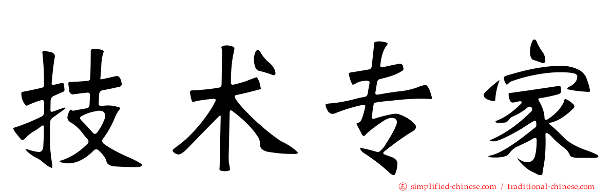 技术专家