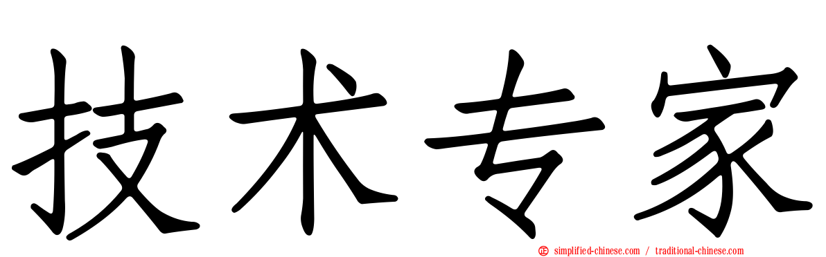 技术专家