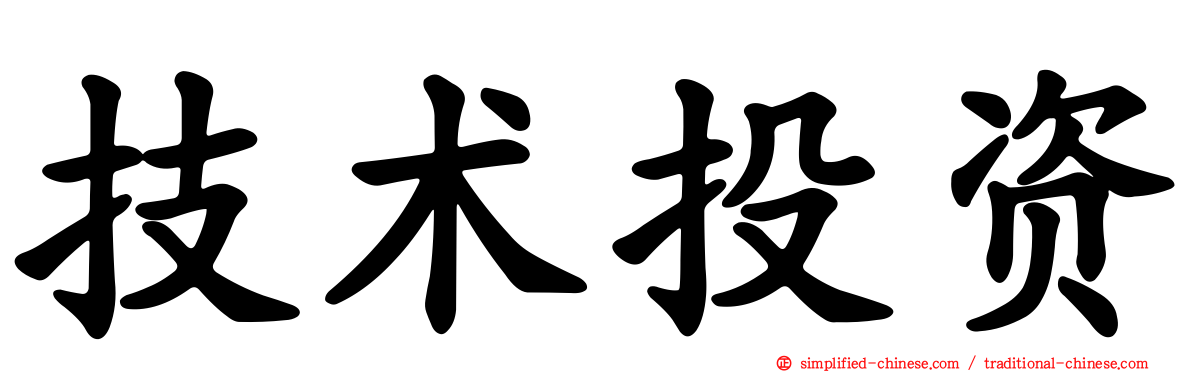 技术投资