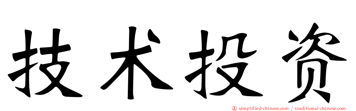技术投资