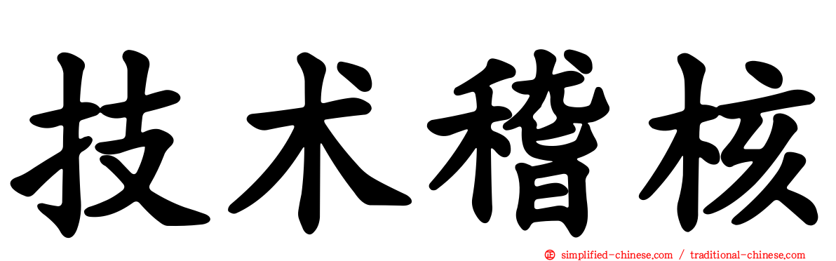 技术稽核