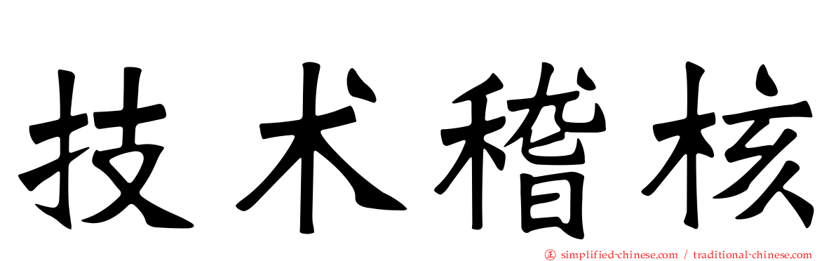 技术稽核