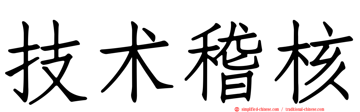技术稽核