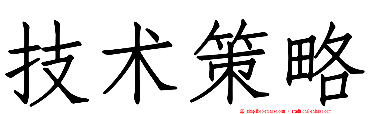技术策略