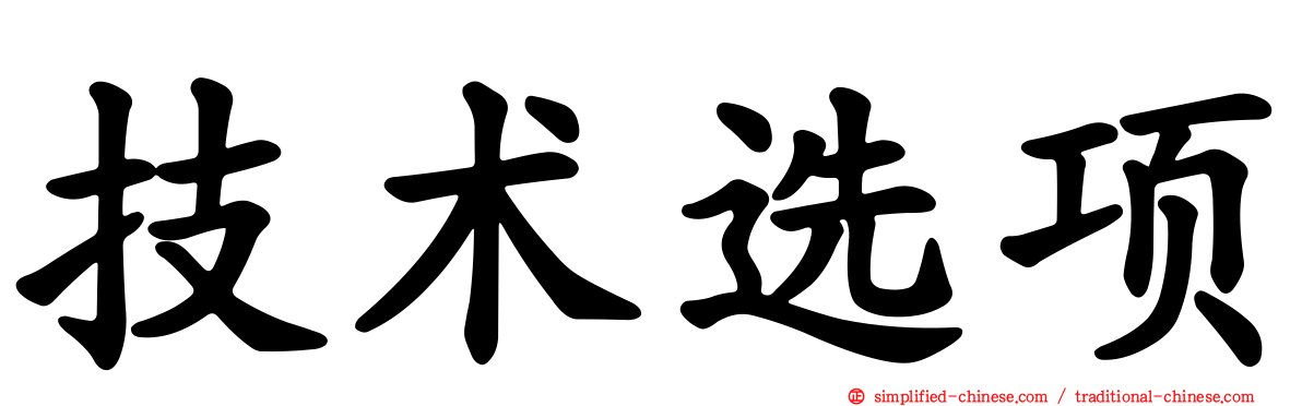 技术选项