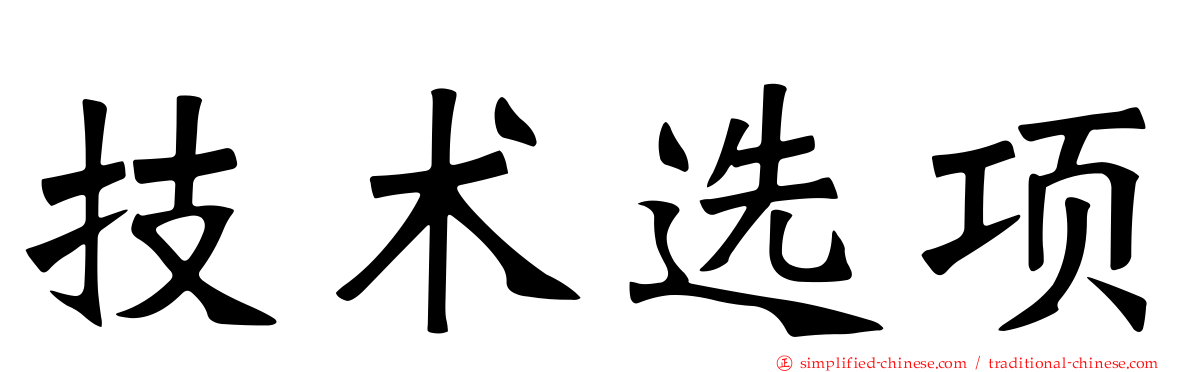 技术选项