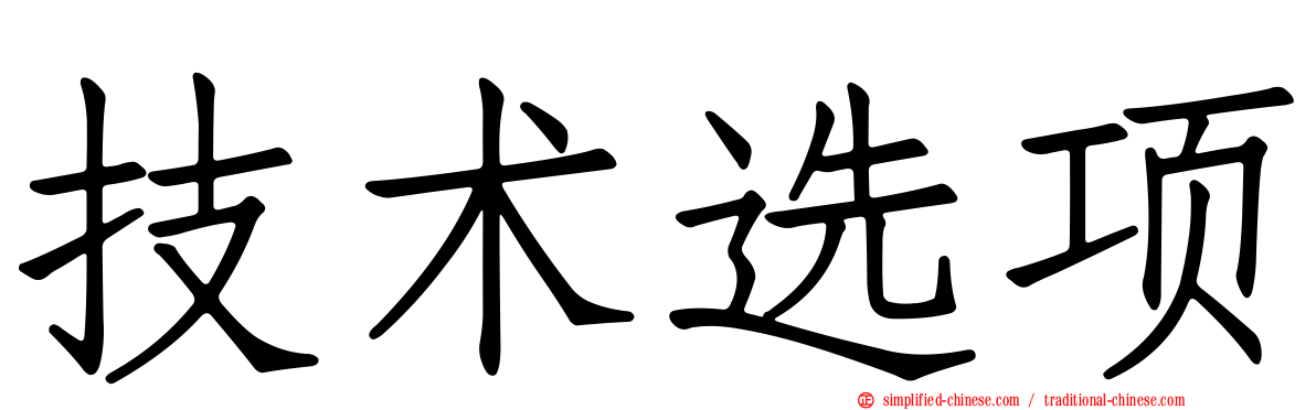 技术选项