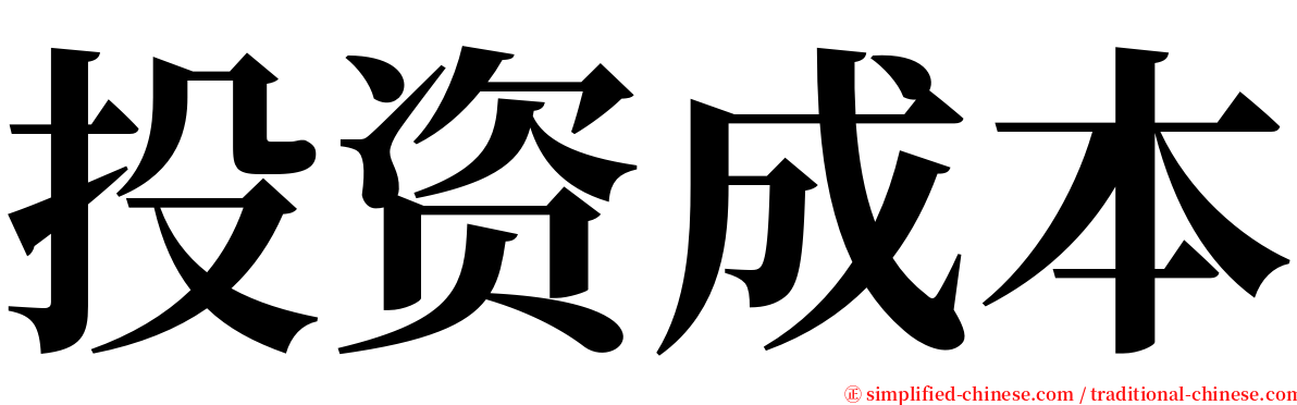 投资成本 serif font